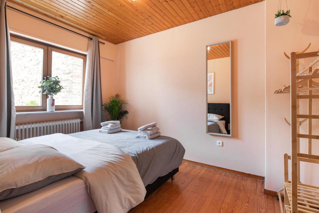 Апартаменти Haus Blaue Traube Mit Moselblick Едіґер-Еллер Екстер'єр фото